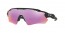 920844 (polished black) Prizm golf lens