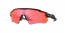 920890 (matte black) prizm trail torch lens