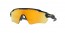 9208C9 (polished black) prizm 24k polarized lens