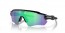 9208F0 (matte black) prizm jade polarized lens
