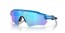 9208F1 (matte sapphire) prizm sapphire polarized lens