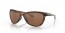 922203 (matte brown tortoise) prizm tungsten polarized lens