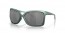 923005 (matte silver/blue colorshift) prizm black polarized lens