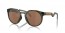924203 (olive ink) prizm tungsten polarized lens