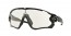 929014 (polished black) photochromic lens