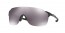938608 (matte black) Prizm Black Lens