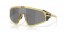 940414 (gold grass) prizm black lens