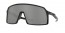 940601 (POLISHED BLACK) prizm black lens