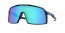 940690 (polished black) prizm sapphire lens