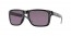 941727 (polished black) prizm grey lens