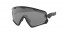 941810 (POLISHED BLACK) prizm black lens