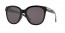 943301 (POLISHED BLACK) prizm grey lens