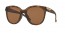 943306 (MATTE BROWN TORTOISE) prizm tungsten polarized lens