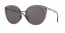 943401 (ONYX) prizm grey lens