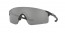 945401 (MATTE BLACK) prizm black lens