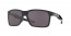 946001 (carbon) prizm grey lens