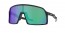 946206 (polished black) prizm jade lens