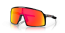 946209 (polished black) prizm ruby lens