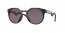 946401 (matte black) prizm grey lens