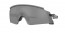 947501 (polished black) prizm road lens