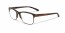 109006 (brown tortoise)