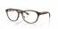 805702 (satin brown tortoise)