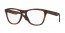 813107 (brown tortoise)