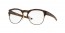 813402 (matte brown tortoise)