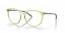 815006 (polished transparent fern)
