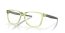 816310 (pollished transparent fern)