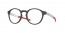 816503 (satin brown tortoise)