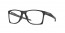 817301 (satin black)