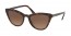 2AU6S1 (havana) brown gradient lens
