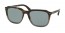TKT3C2 (dark havana grad opal grey) 