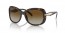 2AU6E1 (tortoise) polarized brown grad lens