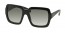 1AB0A7 (black) 
