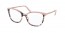07N1O1 (orchid tortoise/petal)