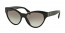 1AB0A7 (black) 