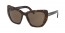 2AU8C1 (havana) brown lens
