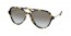 7S00A7 (medium tortoise) 