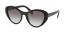 1AB0A7 (black) 