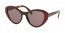YEO6X1 (brown) 