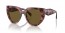 18N01T (tortoise cognac bergonia) dark brown lens