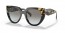 3890A7 (black/medium tortoise) grey grad lens