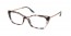 ROJ1O1 (orchid tortoise)