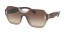 VIQ6S1 (light brown) 