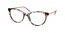 ROJ1O1 (orchid tortoise)