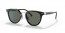 1AB03R (black) polarized green lens