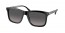 1AB09G (black) polarized lens