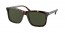 2AU0B0 (tortoise) 